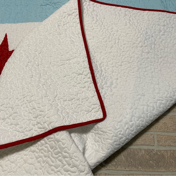 Chicago flag comforter throw blanket Donna Sharp - Picture 2 of 4